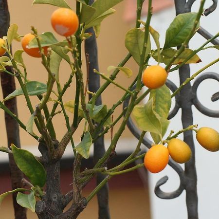 Casa Vacanze Aloha Giardini-Naxos Kültér fotó