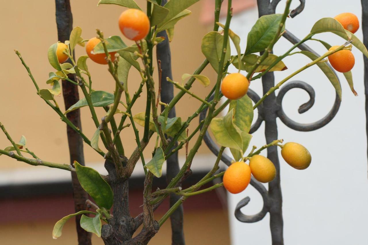 Casa Vacanze Aloha Giardini-Naxos Kültér fotó