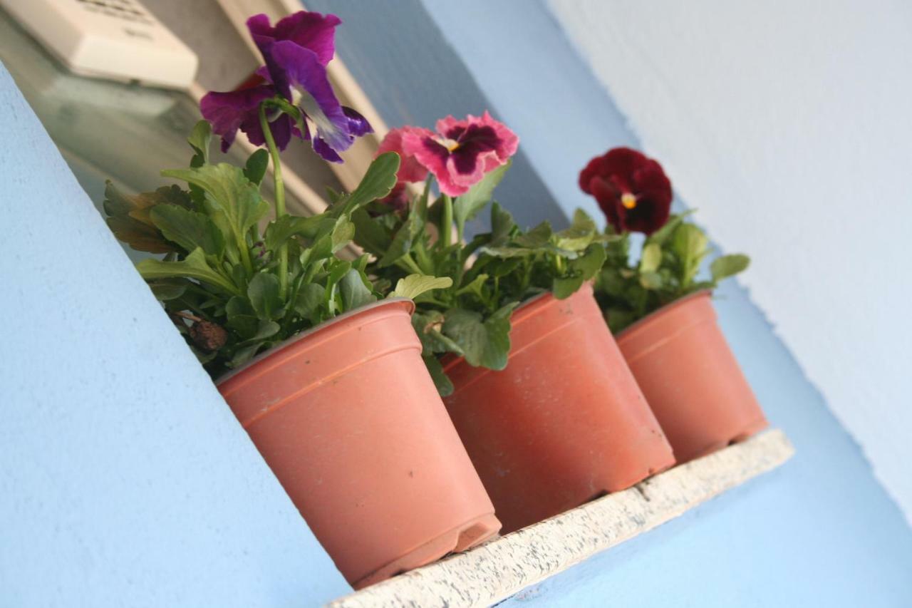 Casa Vacanze Aloha Giardini-Naxos Kültér fotó